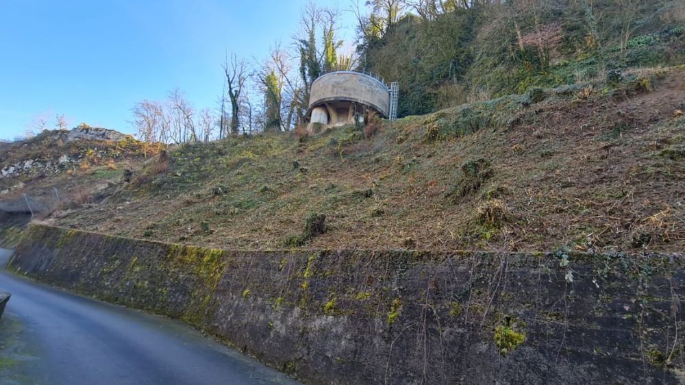 Annecy - Débroussaillage manuel d’un talus à Chavanod (74) 2.jpg