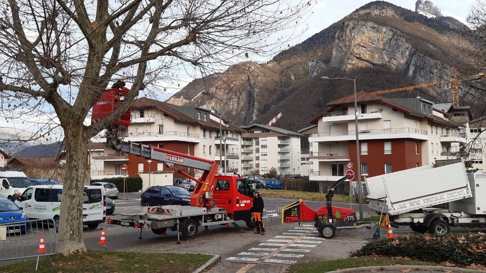 Annecy - Élagage et abattage d’arbres à Faverges (74).jpg