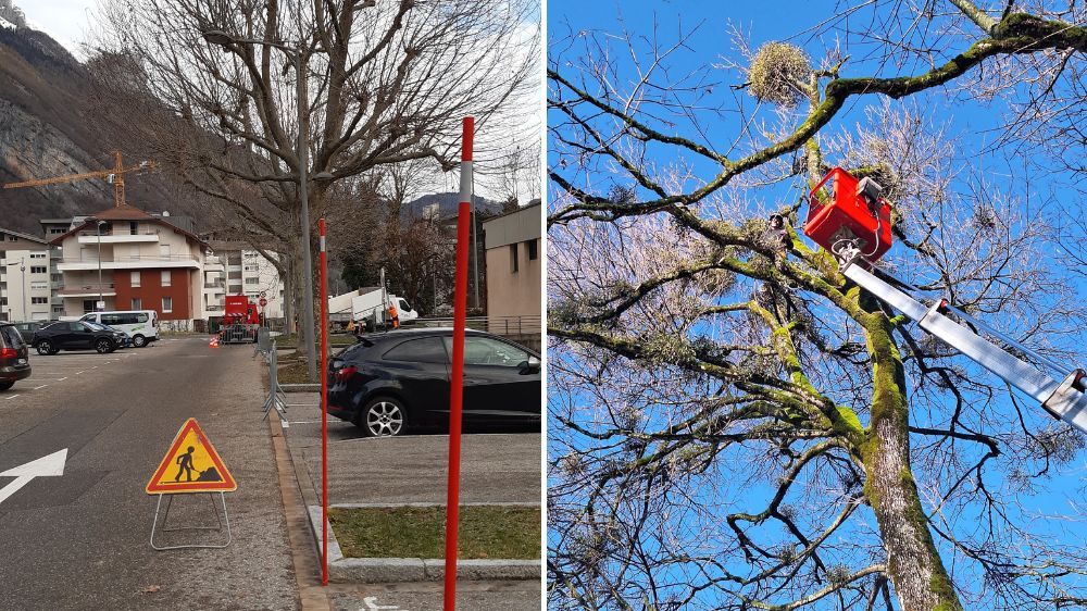 Annecy - Élagage et abattage d’arbres à Faverges (74) 2.jpg