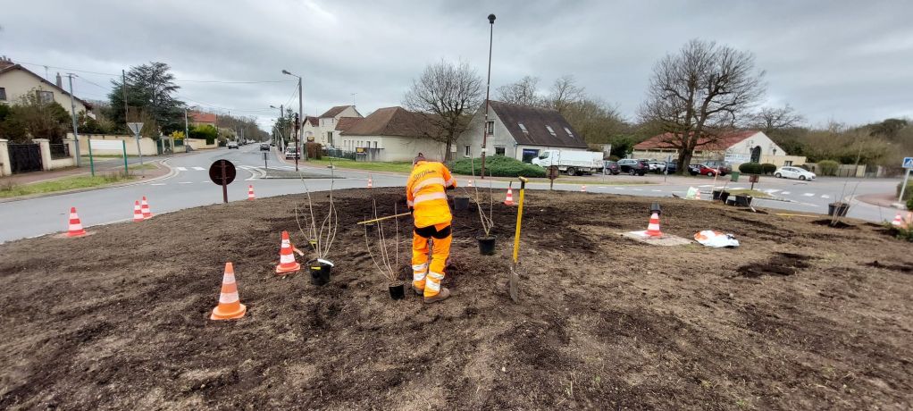 Remise en état et plantation du Rond point de Larchant. (2).jpeg