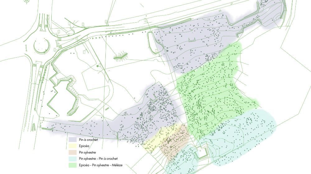 Relevé des arbres à dendromicrohabitat pour une valorisation écologique du site (66).jpg