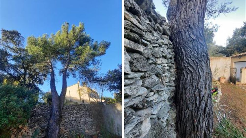 _ Diagnostic Pin d'Alep en bordure de proriété suite à l’effondrement d’un mur (34.jpg