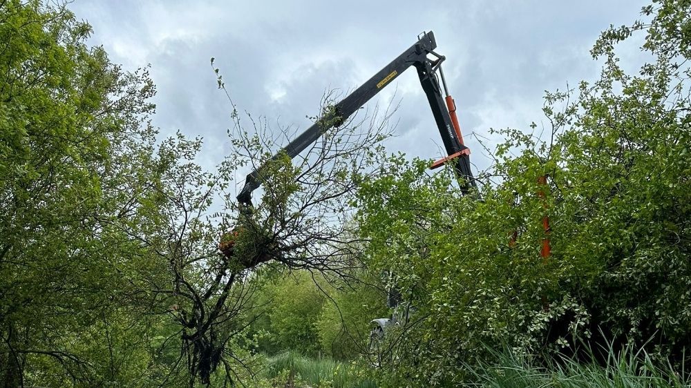 Réouverture d'une rivière à Aigrefeuille .jpg