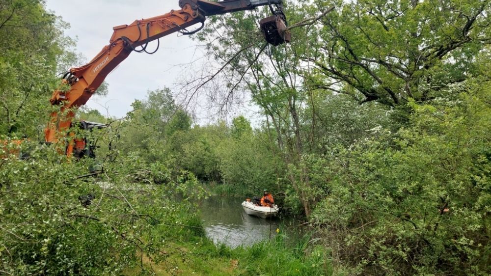 Réouverture d'une rivière à Aigrefeuille  (2).jpg