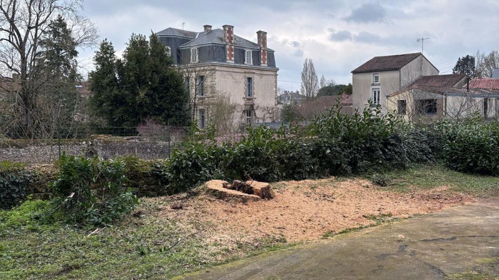 poitiers - abattage 2.jpg