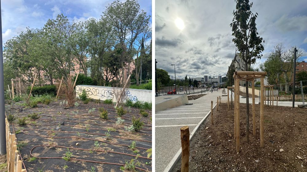 aix - BHNS Secteur Sevigné.jpg