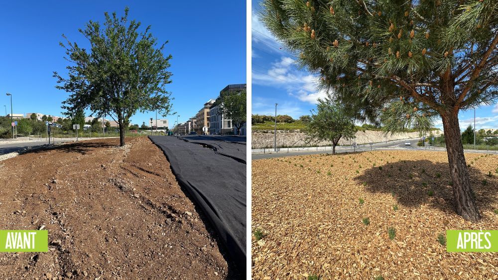 aix - Réaménagement d’un rond-point à Aix-en-Provence 2.jpg