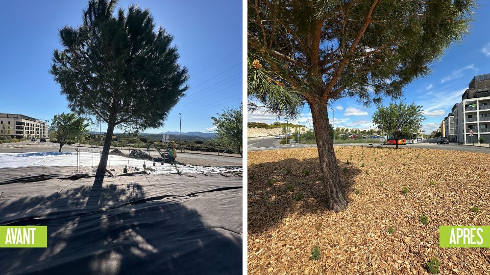 aix - Réaménagement d’un rond-point à Aix-en-Provence.jpg