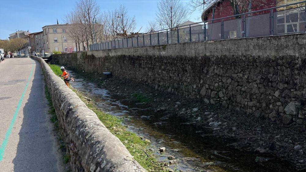 Lyon - Délierrage de mur de berge 2.jpg