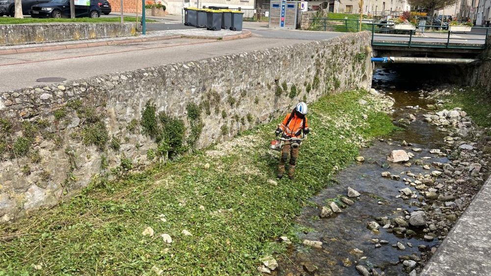 Lyon - Délierrage de mur de berge 3.jpg