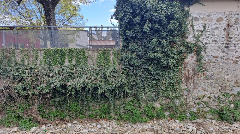 Lyon - Délierrage de mur de berge.jpg