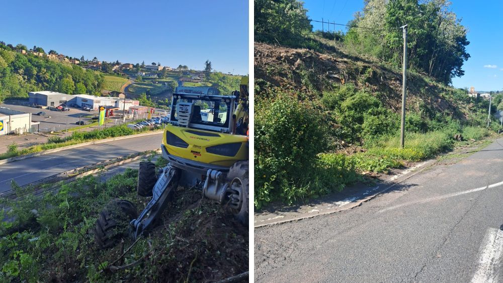 lyon - Débroussaillage préventif 2.jpg