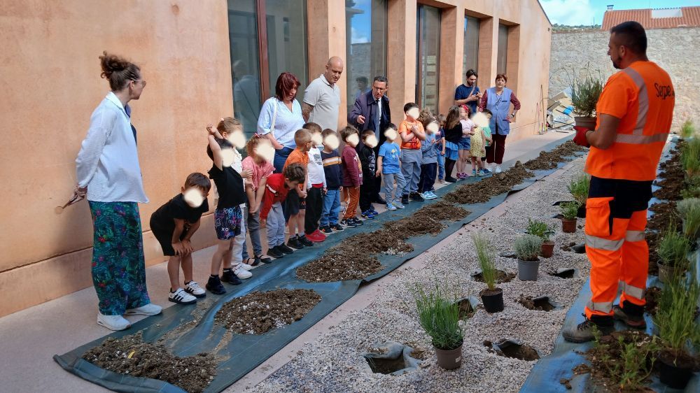 Revégétalisation d'une cour d'école à Baixas (66).png