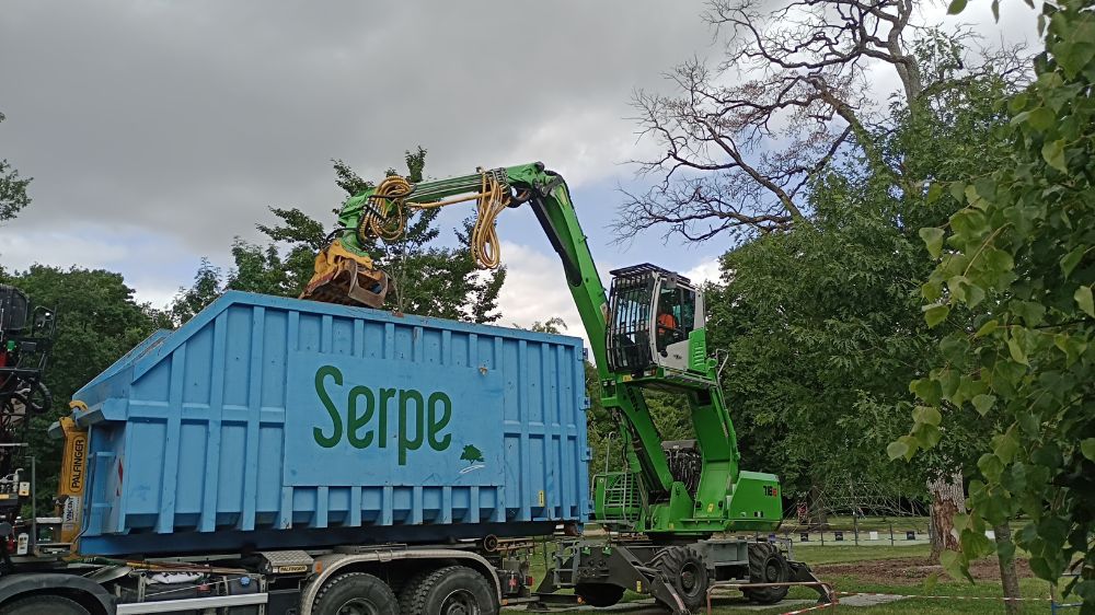 angers - Mise en sécurité d’un chêne centenaire – Parc de Pignerolle (Angers) 3.jpg