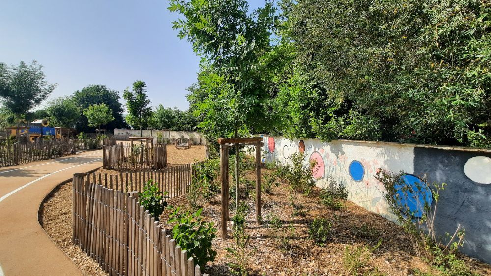 Montpellier - Désimperméabilisation de la cour de l’école à Poussan (34).jpg