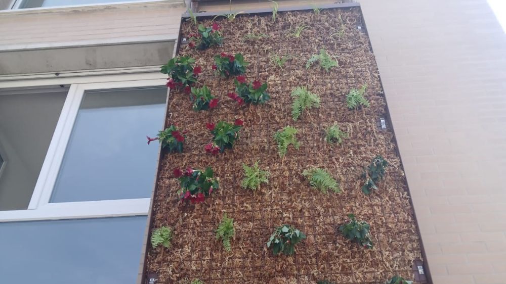 Toulouse - Réalisation mur végétalisé.jpg