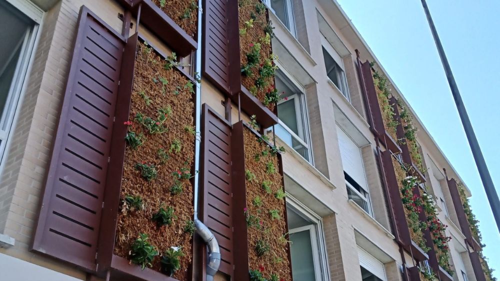 Réalisation d'un mur végétalisé à Toulouse (31) 3.jpg