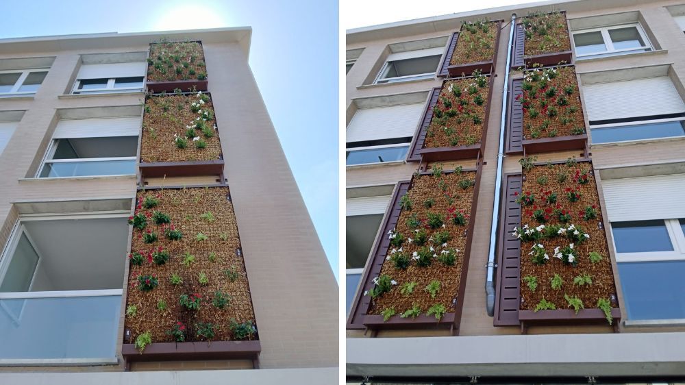 Réalisation d'un mur végétalisé à Toulouse (31).jpg