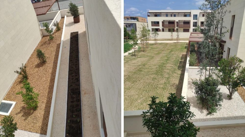 Montpellier - Aménagement paysager – Résidence PIETRA à Castries (34).jpg