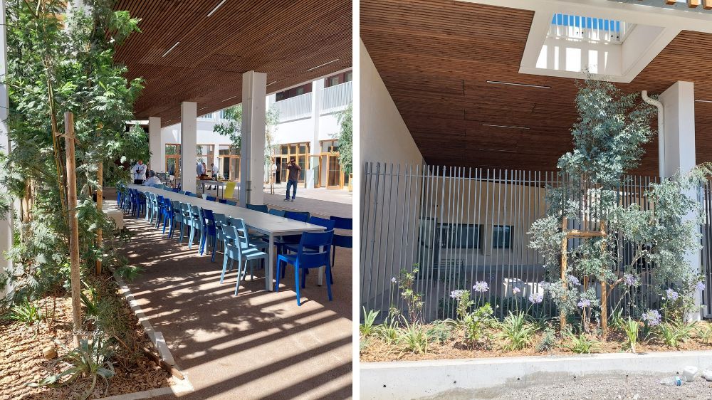 aix - aménagement paysager dans un collège à marseille (13).jpg