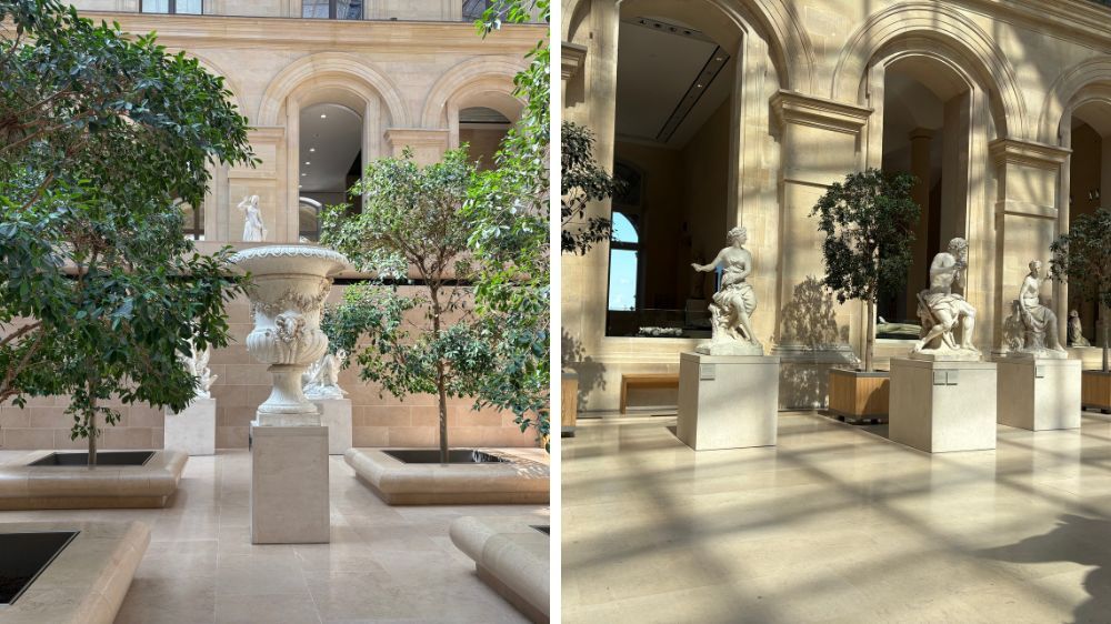 sem - entretien des plantes au musée du louvre 3.jpg