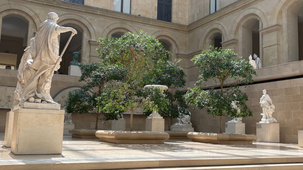 sem - entretien des plantes au musée du louvre.jpg