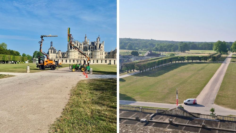 sem - taille chateau de chambord.jpg
