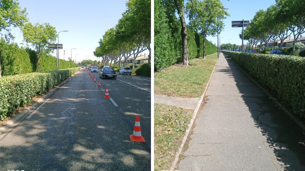 valence - Taille de haie – Boulevard Winston Churchill (26).jpg