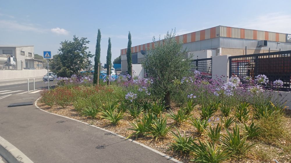 Montpellier - Aménagement paysager - Saint-Jean-de-Védas (34) 4.jpg
