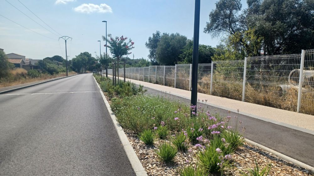 Montpellier - Requalification de la rue de la Billière – Cournonterral (34) 3.jpg