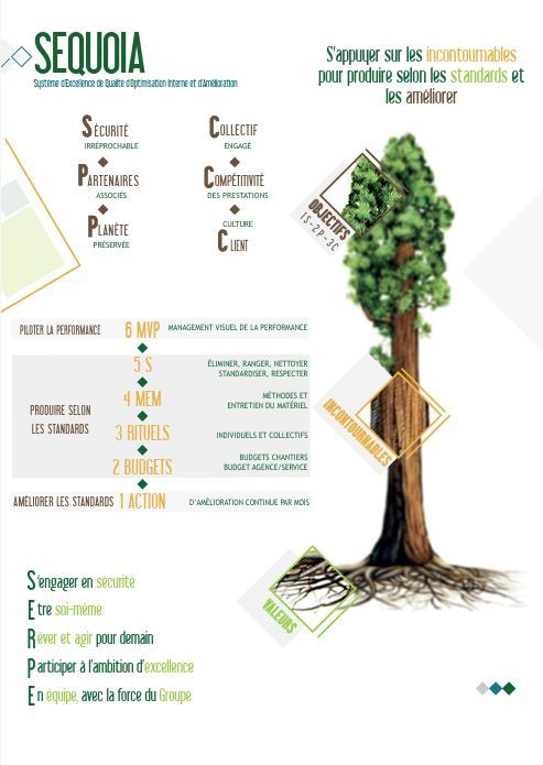 Arbre séquoia V aout 25.png