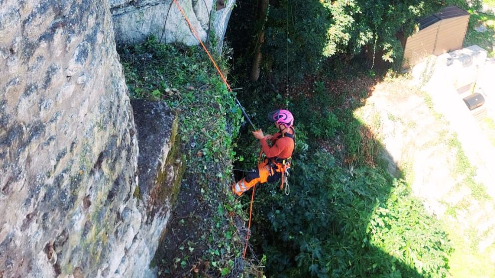debroussaillage la rochelle 3.jpg debroussaillage la rochelle 3.jpg