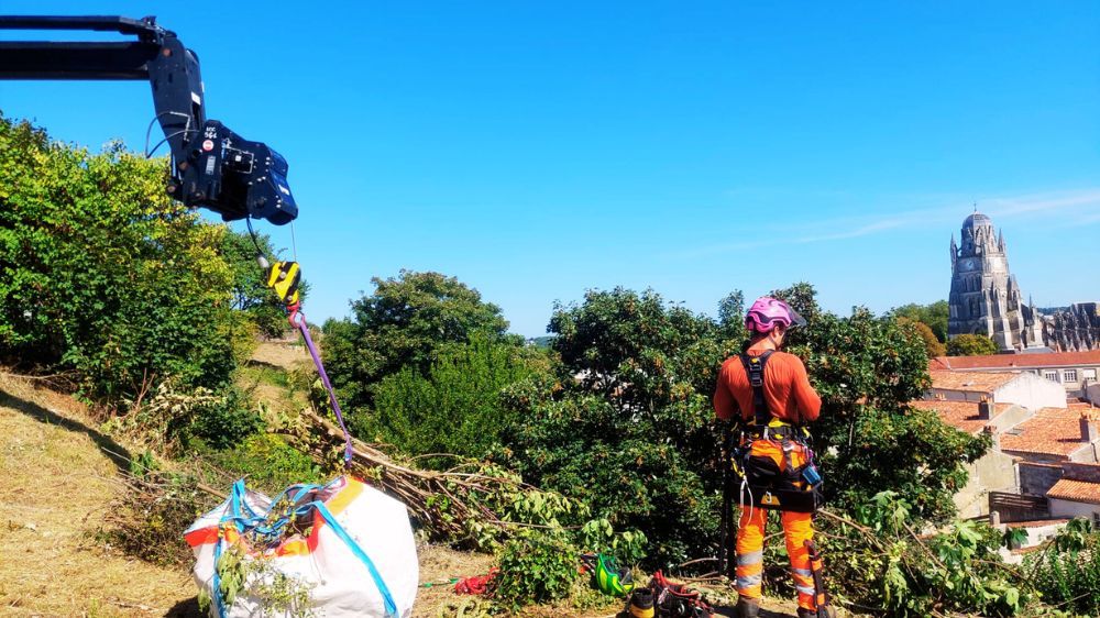 debroussaillage rochelle 2.jpg debroussaillage rochelle 2.jpg