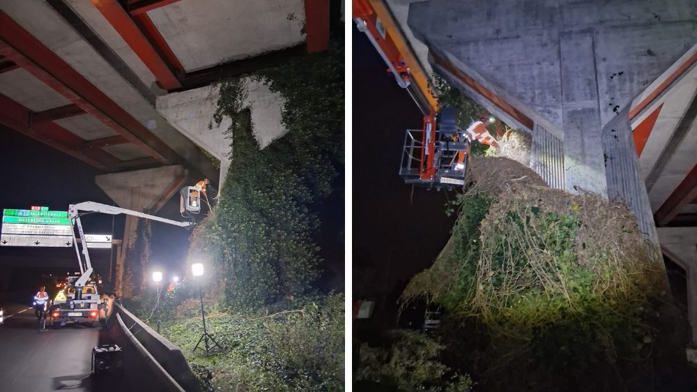 délierrage de nuit Marcq-en-Barœul .jpg