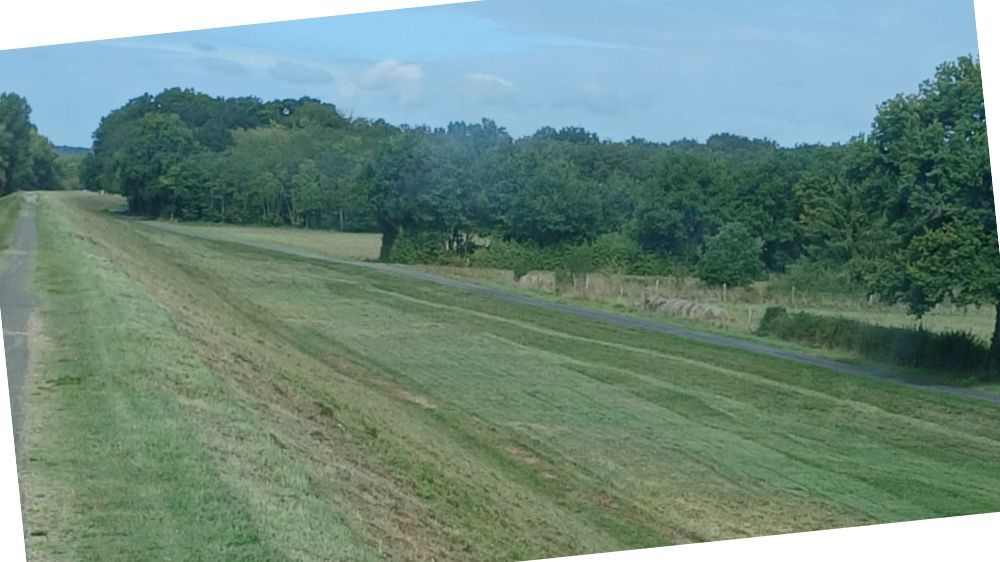 Entretien digue briare .jpg