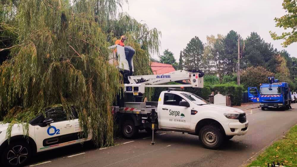 dégager arbre tombe sur réseau élect 1.png dégager arbre tombe sur réseau élect 1.png