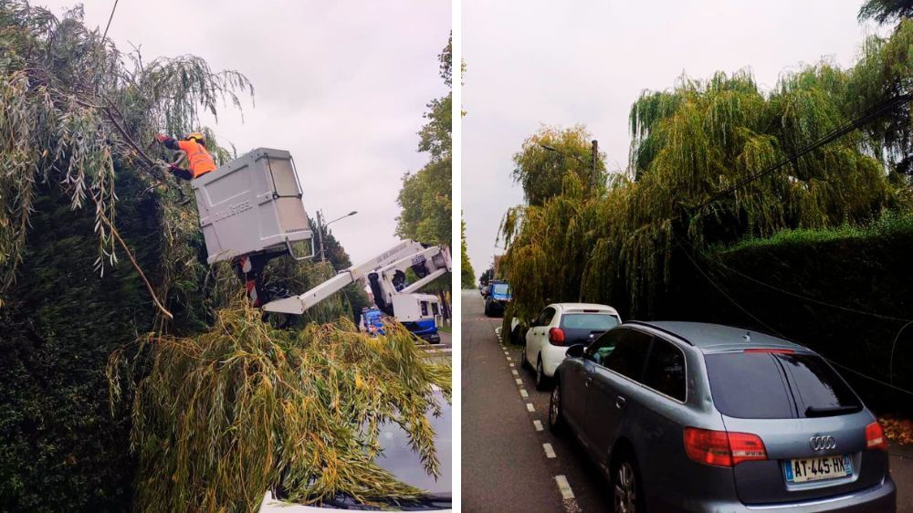 intervention urgence arbre tombe wasquehal.png intervention urgence arbre tombe wasquehal.png